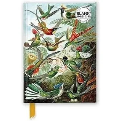 Flame Tree Notatnik A5 g�adki TW Kolibry Ernst Haeckel