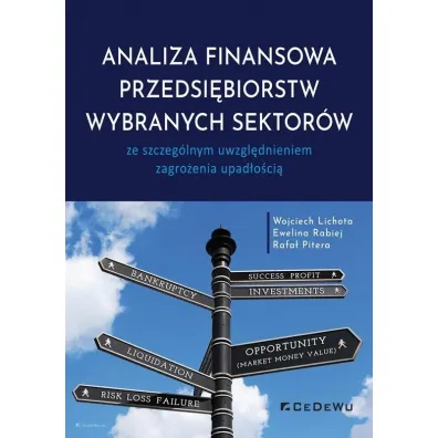 Analiza finansowa przedsi�biorstw wybranych.. - Wojciech Lichota, Ewelina  Rabiej, Rafa�  Pitera