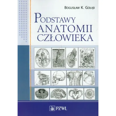 Podstawy anatomii cz�owieka - Bogus�aw K Go��b