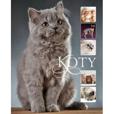 Koty - Karolina Matoga
