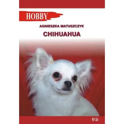 Chihuahua - Agnieszka Matuszczyk