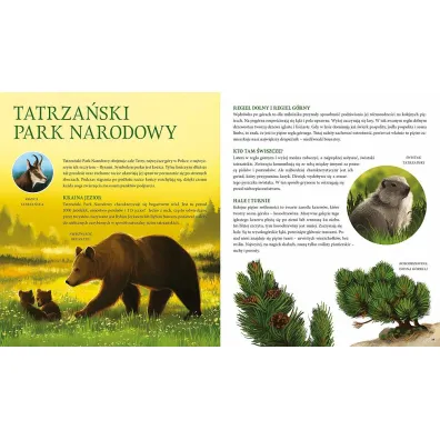 Parki narodowe. Symbole polskiej przyrody