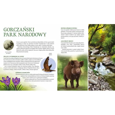 Parki narodowe. Symbole polskiej przyrody