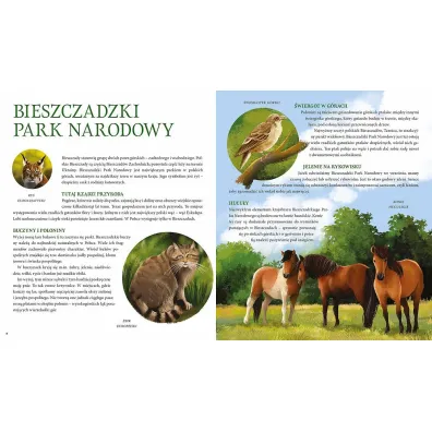 Parki narodowe. Symbole polskiej przyrody