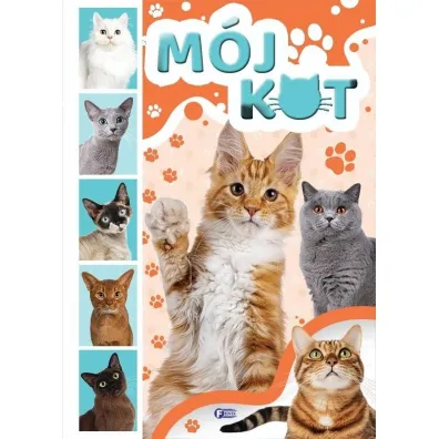M�j kot