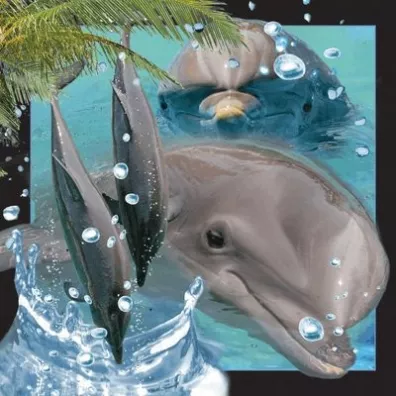 Worth Keeping Poczt�wka 3D Delfin