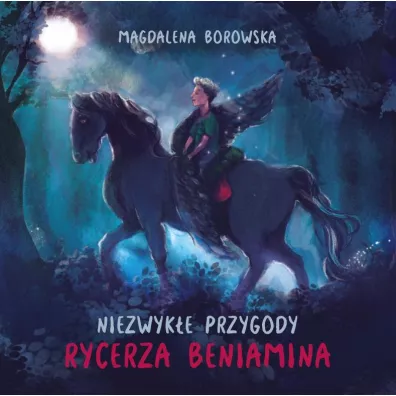 Niezwyk�e przygody rycerza Beniamina - Magdalena Borowska