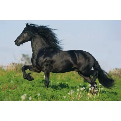 Puzzle 4w1 w walizce Love, Konie Schmidt