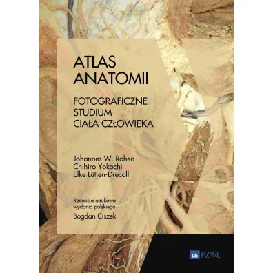 Atlas anatomii - Chihiro Yokochi, Johannes Rohen, Elke L�tjen-Drecoll