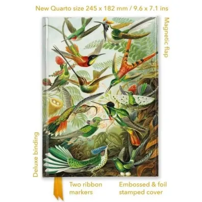 Flame Tree Notatnik quatro Kolibry Ernst Haeckel linia