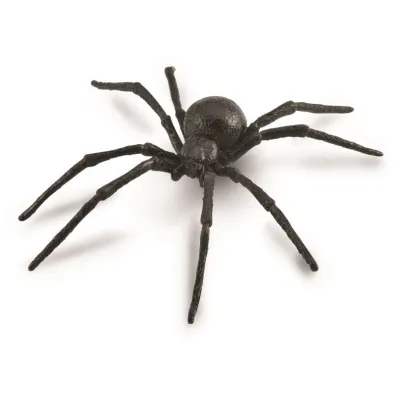 Paj�k Czarna Wdowa