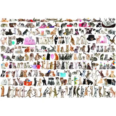 Puzzle 2000 el. The World of Cats Eurographics
