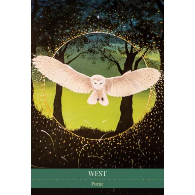Shamanic Medicine, karty do wr�enia