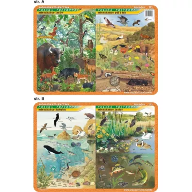 Visual System Podk�adka edukacyjna. Mieszka�cy Ba�tyku, jezior