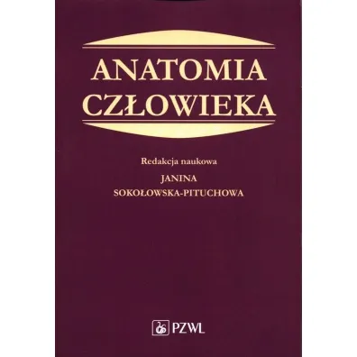 Anatomia cz�owieka. Podr�cznik dla student�w medycyny - Janina Pitucha-Soko�owska