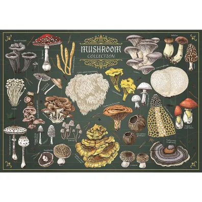 Puzzle 500 Premium Plus Grzyby Trefl
