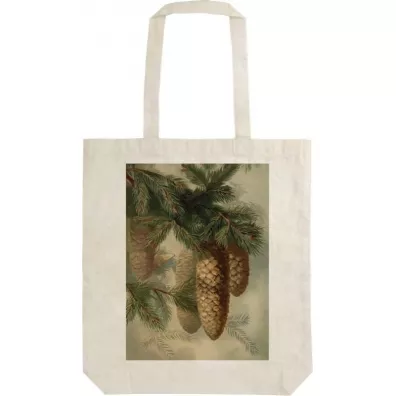 Skona Ting Torba bawe�niana STBAG 56 Szyszki jod�y