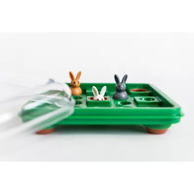Smart Games. Hop Do Norki (PL) IUVI Games