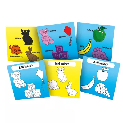 BrainBox. Poznaj� kolory Rebel