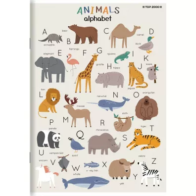 Zeszyt TOP 2000 Megamix A5 70g, kratka 16 kartek