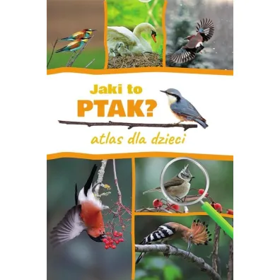 Jaki to ptak? Atlas dla dzieci - Dominik Marchowski