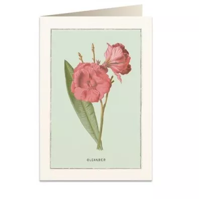 Tassotti Karnet B6 + koperta 6023 Oleander