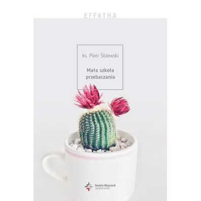 Effatha ma�a szko�a przebaczania - Piotr �li�ewski