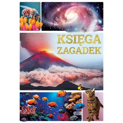 Ksi�ga zagadek