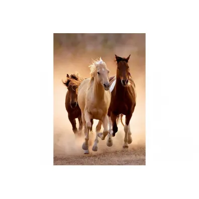 Puzzle 1000 el. Compact Running Horses Clementoni