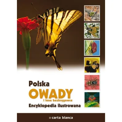 Polska. Owady i inne bezkr�gowce. Encyklopedia ilustrowana * *