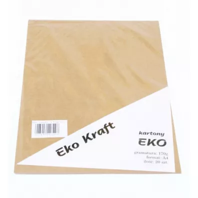 Salon Papierw Karton ozdobny A4 Eko Kraft 170 g