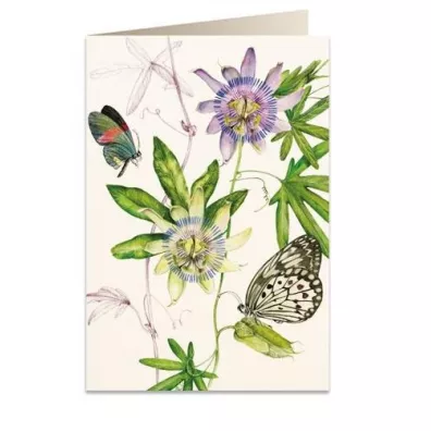 Tassotti Karnet B6 + koperta 6089 Passiflora
