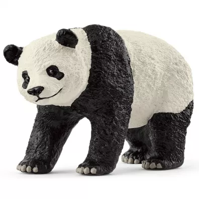 Panda Wielka