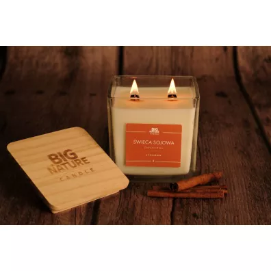 Big Nature wieca sojowa zapachowa Cynamon 450 g