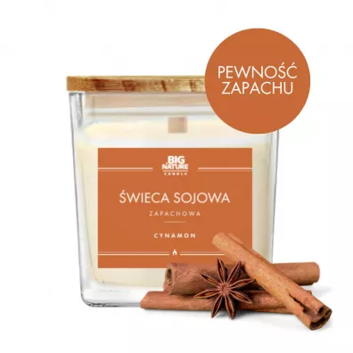 Big Nature wieca sojowa zapachowa Cynamon 450 g