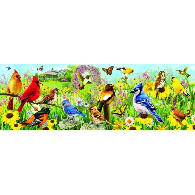 Puzzle panoramiczne 1000 el. Ptaki ogrodowe Eurographics