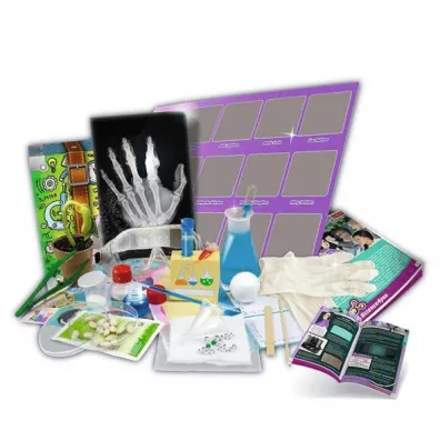 Science 4 You - Kobiety w �wiecie Nauki TREFL
