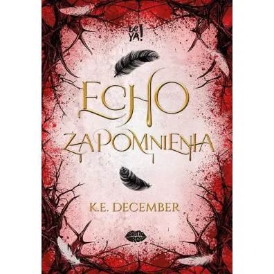 Echo zapomnienia - K. E. December