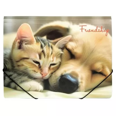 Panta Plast Teczka A4 PP na gumk z nadrukiem Friendship