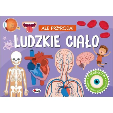 KSIAZECZKA EDUK 255X185 OPR TW LUDZ CIALO 3D AWM