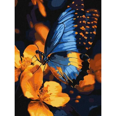 Ideyka Malowanie po numerach - Migotanie skrzyde� 30x40cm