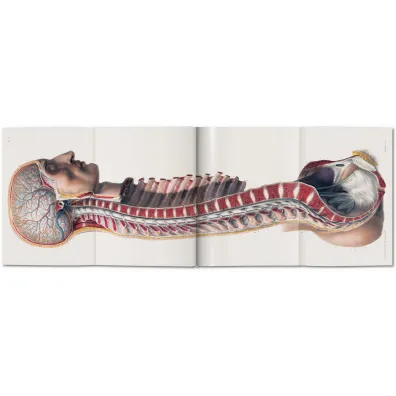 Atlas of Human Anatomy AND Surgery