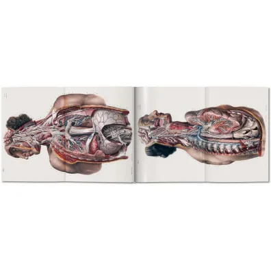 Atlas of Human Anatomy AND Surgery