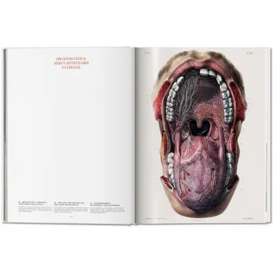 Atlas of Human Anatomy AND Surgery