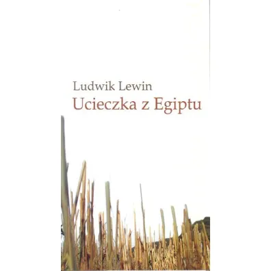 Ucieczka z Egiptu - Lewin Ludwik