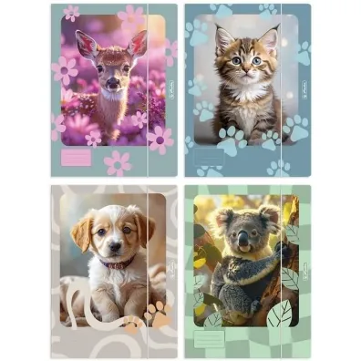 Teczka A4 z gumk� Animals mix HERLITZ