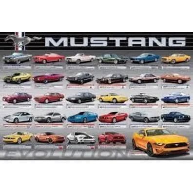 Puzzle 1000 el. Ford Mustang Evolution Eurographics