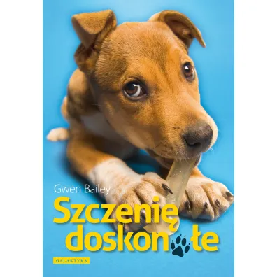 Szczeni� doskona�e - Bailey Gwen