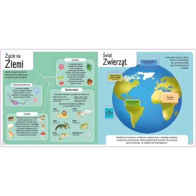 Otw�rz okienko. Wspania�e zwierz�ta