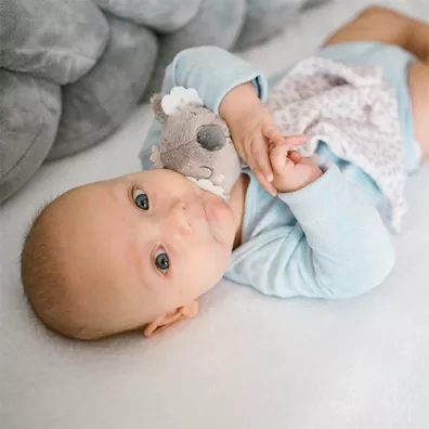 Babyono Przytulanka kocyk Koala Coco